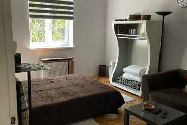 Pisos turísticos Downtown Apartman