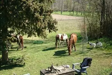 Turistihuoneistot Comfortable Quiet House In The Countryside Porte Du Quercy For 8 People