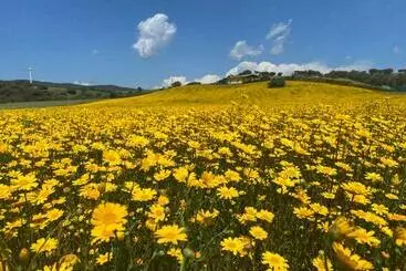 ツーリストアパートメント San Leonardo Country House