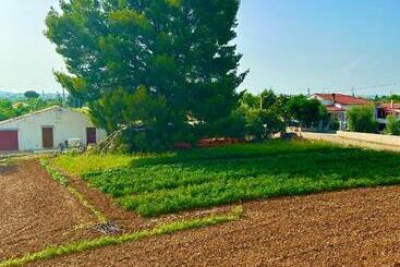 דירות לתיירים La Casa Dell Artista