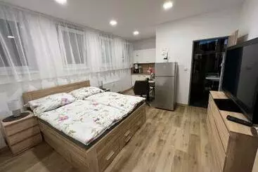 آپارتمان‌های توریست‌ها Apartmány U Jelena 1