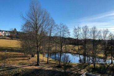 Apartamentos turísticos Ferienwohnung Schluchseetraum Im Kurhaus
