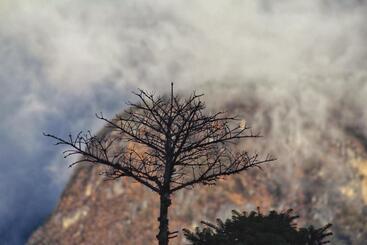 Hotelli Wonder Hill Inn