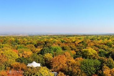 호텔 Schloss Goldacker  Das Schloss Der Gesundheit