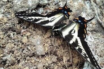 Panzió The Cabin At Moon Dance