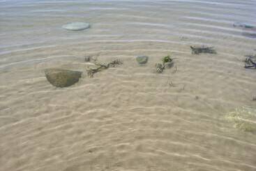 شقق خاصة سياحية Sea And Mountain View Sunbeach Holiday Snowdonia