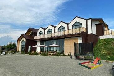 Bed and Breakfast Pensiunea Casa Spando