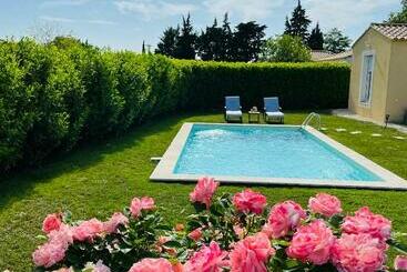 פנסיון Un Coin Tropical En Provence !