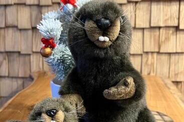 آپارتمانهای توریستها Castor Coquin Aubagne Cassis Aix En Provence