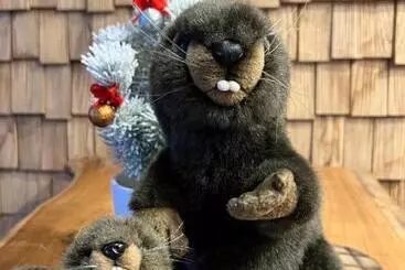 Turistihuoneistot Castor Coquin Aubagne Cassis Aix En Provence