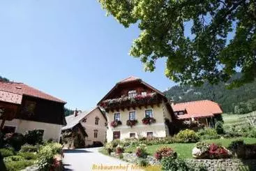 Casa Rural Der Michlbauernhof