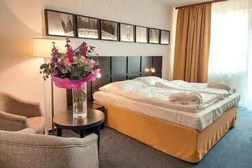 Wellness Hotel Frymburk