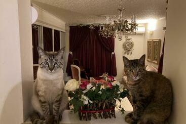 Pensió Otsu House / Vacation Stay 2942