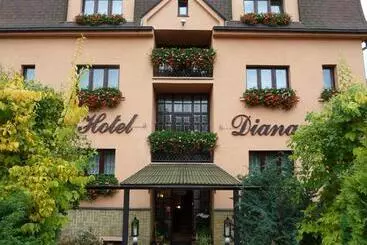 호텔 Diana Apartments