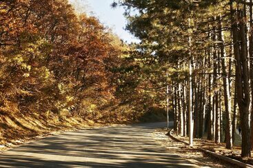 酒店 Plaza Boutique