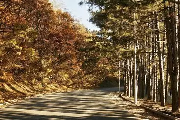 هتل Plaza Boutique