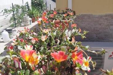 شقق خاصة سياحية Casetta Santa Maria Degli Angeli