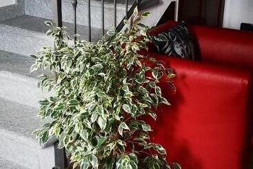 Apartamenty turystyczne Da Manu Cir 0074