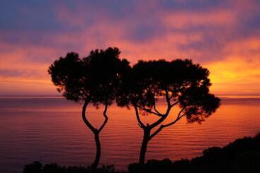 Bed and Breakfast Sea View Sirolo Di Amedeo