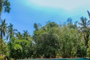 Hotel The Orchard Resort