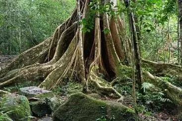 Aamiaismajoitus (B&B) Pakchong Hostel & Wildlife Tour