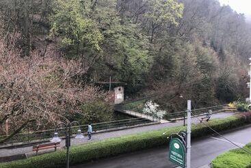 旅馆 Gästehaus Viktoria