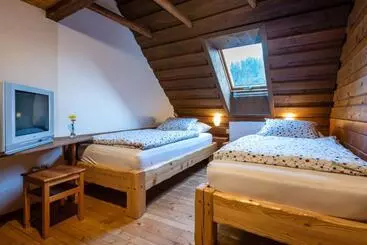 Pension Penzion Pod Lipou
