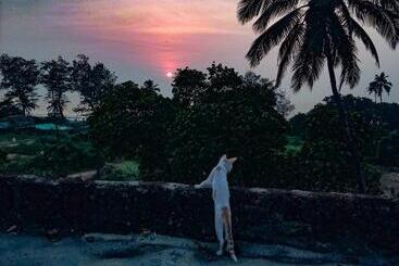 펜션 Dreamcatcher House & Hostel At Arambol Beach