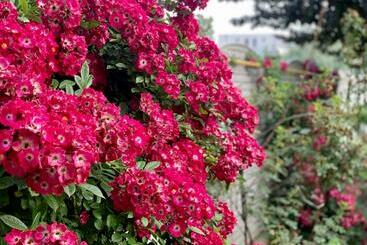 Panzió Vila Cristina Residence