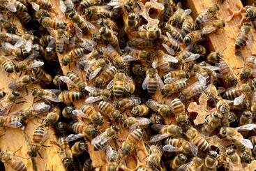 Agriturismo Valsiniga