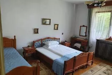 Pensiunea Aurora Albac