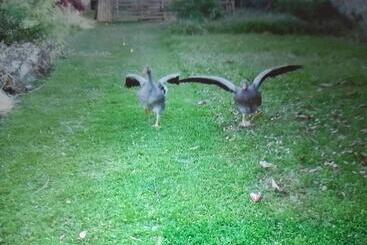 Pensionat Guest House Groupe Et Famille