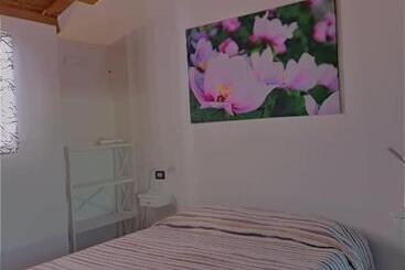 Pansiyon Limbara Dreaming