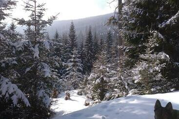 Pensjonat Penzion A Restaurace Na Hvězdě