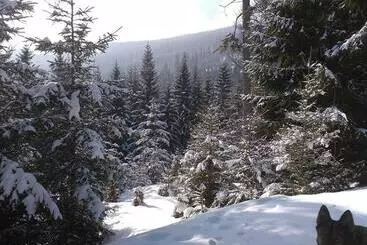 Majatalo Penzion A Restaurace Na Hvězdě