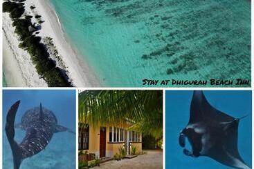 پانسیون Dhigurah Beach Inn