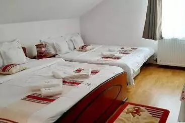 Pensionat Casa Dacică Rasnov Central Free Parking Close To Bran, Brasov, Dino Park & Restaurants