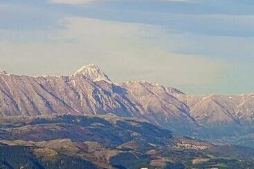 酒店 Albergo Pensione Paola