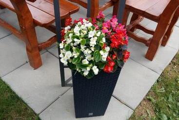 펜션 Apartmán U Paťka Zuberec