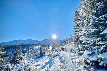 Pensione Chata Drevenica