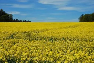Majatalo Hostinec A Penzion U Rezků