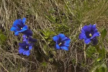 膳宿费 Alte-stube Gasthof