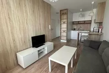 Turistihuoneistot 2 Room Apartment With Terrace, Prievozska Street