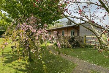 Apartamenty turystyczne Little Owl Cottage