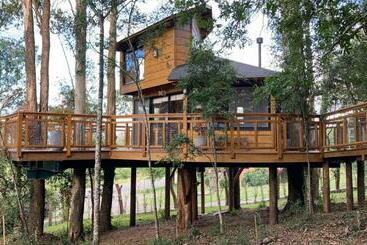 Apartamentos turísticos Casa Na árvore Morada Dos Vagalumes