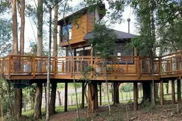 ツーリストアパートメント Casa Na árvore Morada Dos Vagalumes