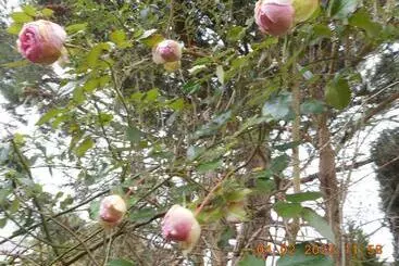 Turistihuoneistot Le Gite De Lili