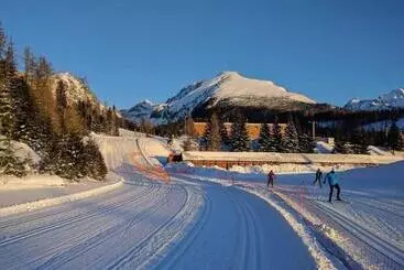 ツーリストアパートメント Apartmán Crocus 415