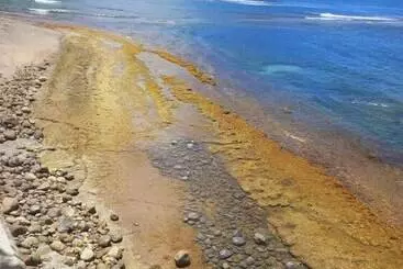 ホテル Jacoway Inn