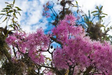 Hotel Casa De Hacienda Su Merced